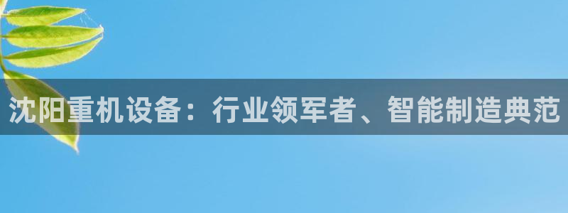 辉达娱乐网址：沈阳重机设备：行业领军者、智能制造典范