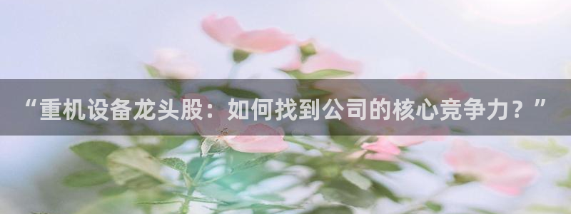 专业辉达娱乐平台