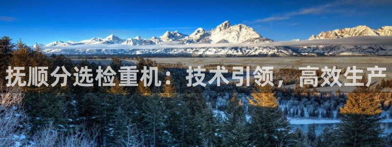 辉达娱乐官方网址：抚顺分选检重机：技术引领，高效生产