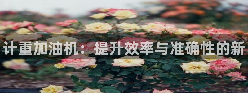 辉达娱乐珈75775：计重加油机：提升效率与准确性的新