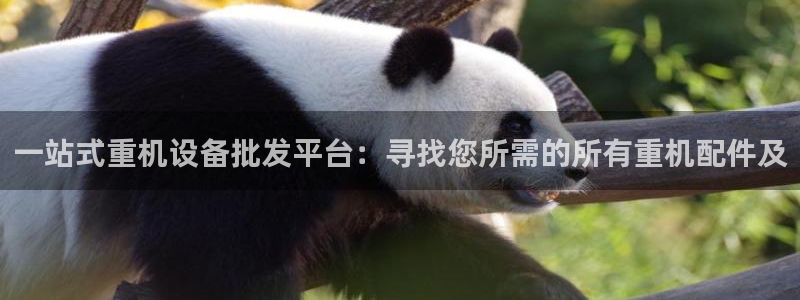 辉达娱乐时时彩平台：一站式重机设备批发平台：寻找您所需的所有