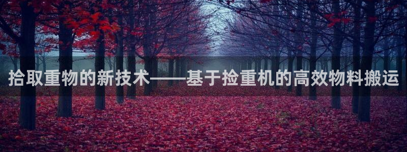 辉达娱乐线路检测：拾取重物的新技术——基于捡重机的高效物料搬