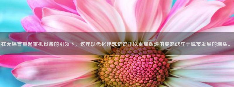 辉达娱乐登录：在无锡誉重起重机设备的引领下，这座现代化建筑奇