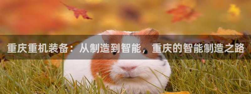 信誉辉达娱乐开户注册