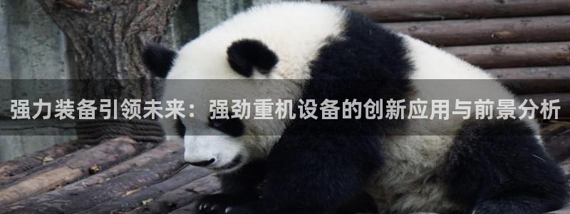 辉达平台官网电话