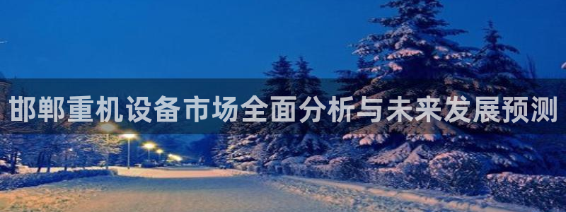达娱乐辉70667：邯郸重机设备市场全面分析与未来发展预测