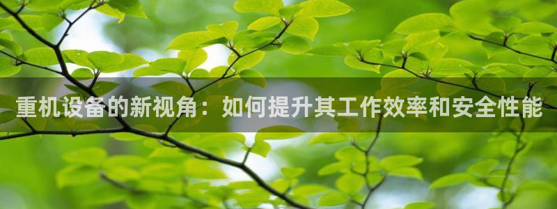 专业辉达娱乐官方网址：重机设备的新视角：如何提升其工作效率和
