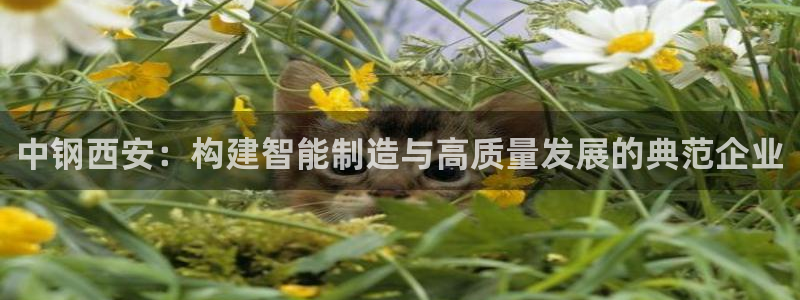 辉达娱乐加扣75775：中钢西安：构建智能制造与高质量发展的