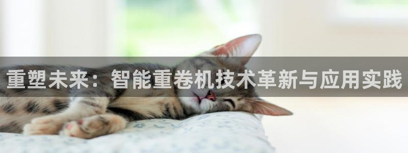 正规辉达娱乐官方网址：重塑未来：智能重卷机技术革新与应用实践