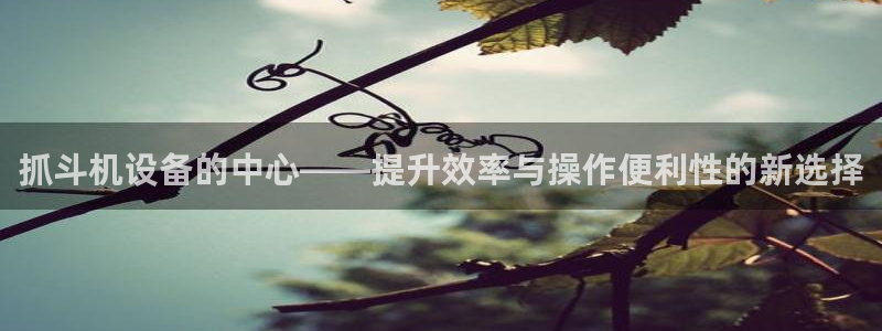 辉达娱乐时时彩平台：抓斗机设备的中心——提升效率与操作便利性