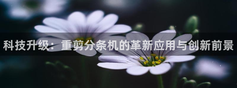 辉达娱乐体育竞猜：科技升级：重剪分条机的革新应用与创新前景