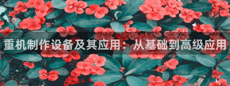 龙腾辉达电子娱乐：重机制作设备及其应用：从基础到高级应用