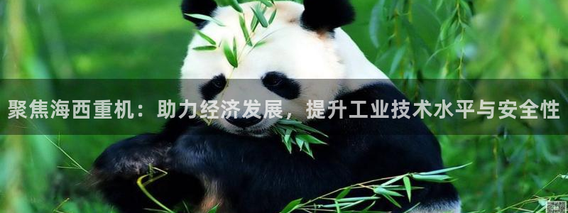 辉达平台官网登录：聚焦海西重机：助力经济发展，提升工业技术水