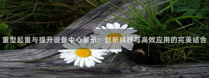 辉达娱乐官方网址：重型起重与提升设备中心展示：创新科技与高效