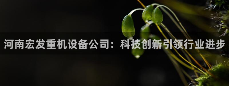 辉达娱乐丿39444：河南宏发重机设备公司：科技创新引领行业
