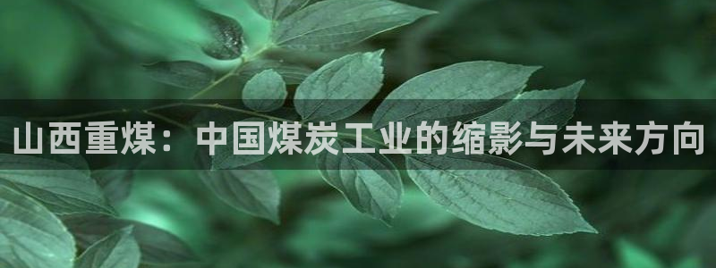 辉达娱乐电子：山西重煤：中国煤炭工业的缩影与未来方向