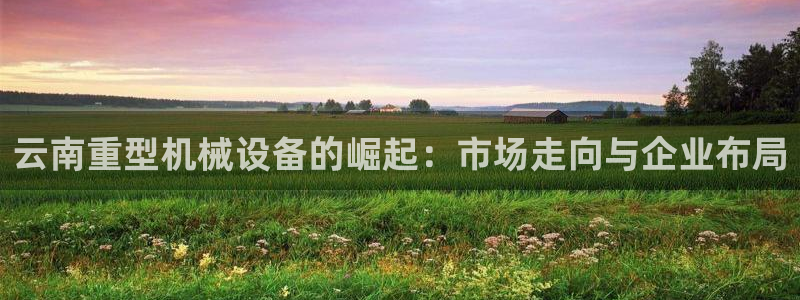 代理辉达娱乐官方网址：云南重型机械设备的崛起：市场走向与企业