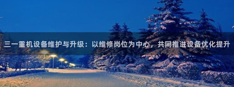 辉达娱乐计划软件：三一重机设备维护与升级：以维修岗位为中心，