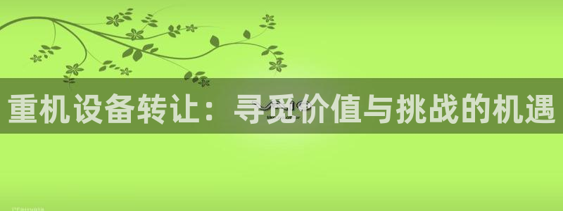 代理辉达娱乐开户注册：重机设备转让：寻觅价值与挑战的机遇