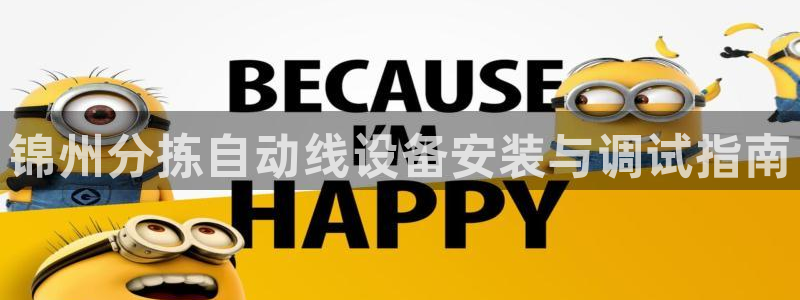 辉达娱乐体育竞猜：锦州分拣自动线设备安装与调试指南