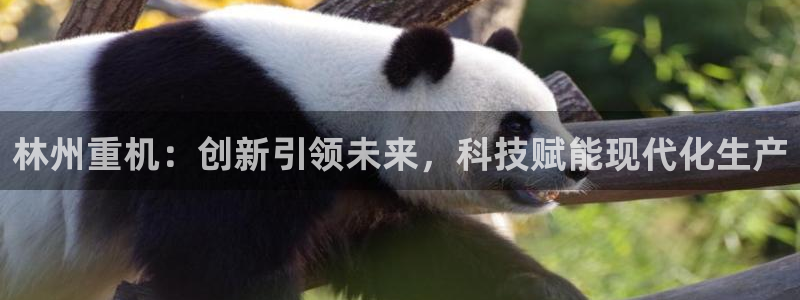 辉达平台官网登录：林州重机：创新引领未来，科技赋能现代化生产