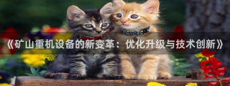 辉达娱乐丶75505