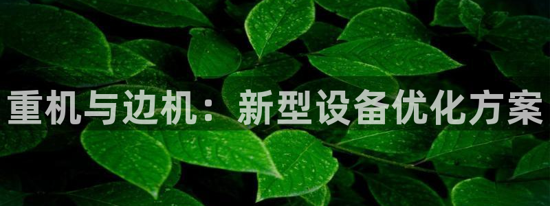 辉达娱乐五39444