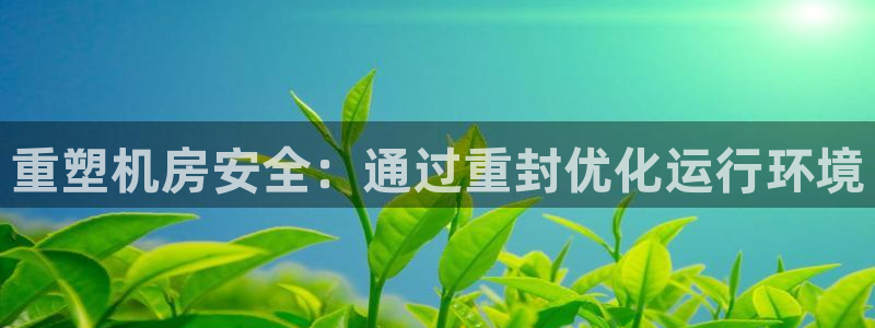 辉达娱乐五39444：重塑机房安全：通过重封优化运行环境