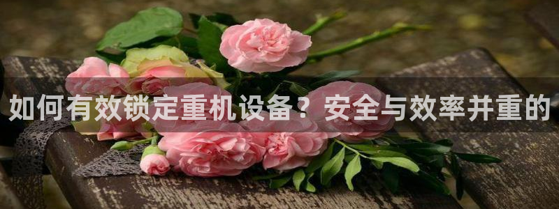 辉达娱乐app：如何有效锁定重机设备？安全与效率并重的