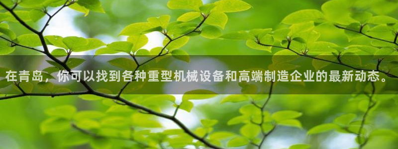 辉达娱乐电子：在青岛，你可以找到各种重型机械设备和高端制造企