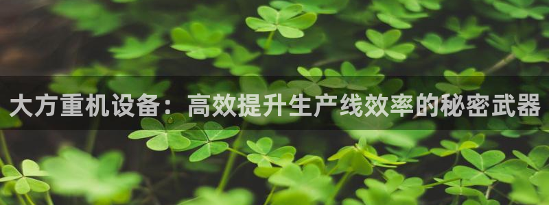 辉达娱乐ag游戏平台