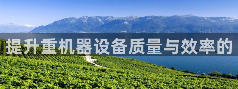 信誉辉达娱乐平台：提升重机器设备质量与效率的