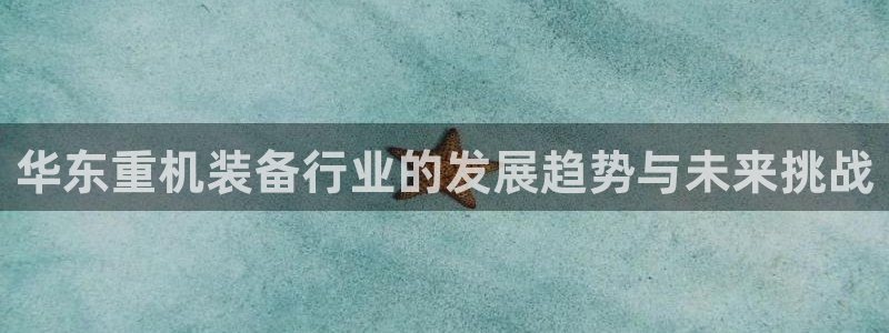 辉达娱乐多少年