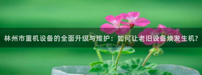 辉达娱乐丶75505