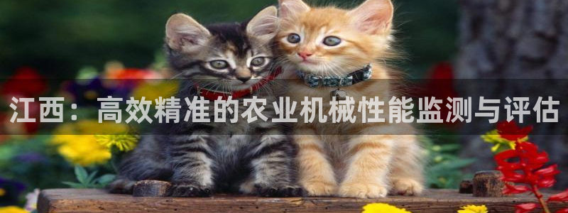 辉达平台官网下载：江西：高效精准的农业机械性能监测与评估