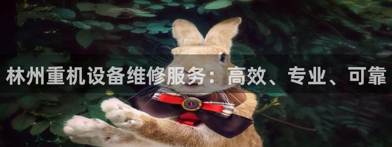 专业辉达娱乐官方网址：林州重机设备维修服务：高效、专业、可靠