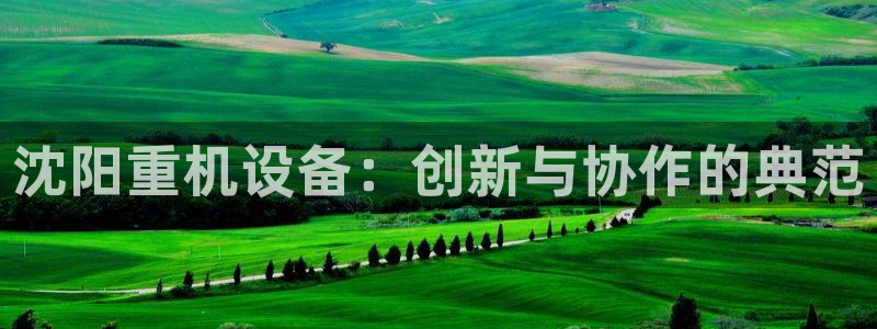 辉达平台注册入口：沈阳重机设备：创新与协作的典范