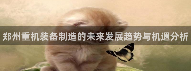 辉达娱乐丶39444：郑州重机装备制造的未来发展趋势与机遇分