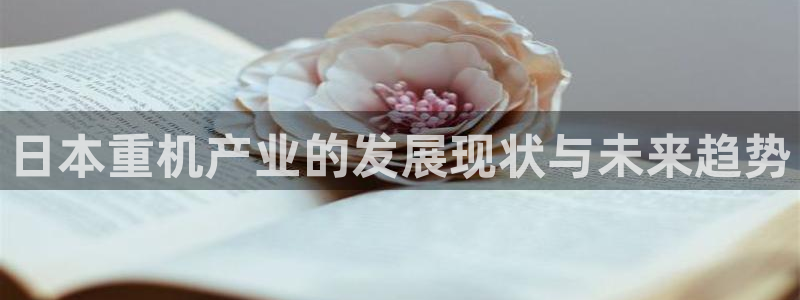 正规辉达娱乐官方网址：日本重机产业的发展现状与未来趋势