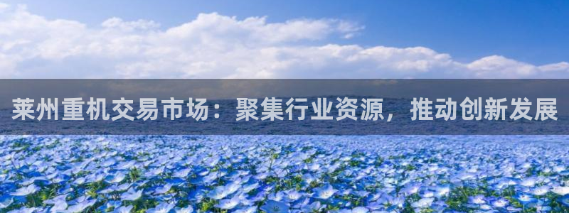 辉达平台官网网站：莱州重机交易市场：聚集行业资源，推动创新发