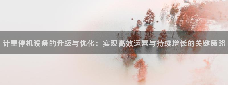 辉达娱乐时时彩：计重停机设备的升级与优化：实现高效运营与持续