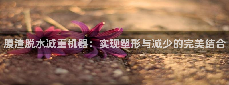 辉达娱乐珈75775：膜渣脱水减重机器：实现塑形与减少的完美