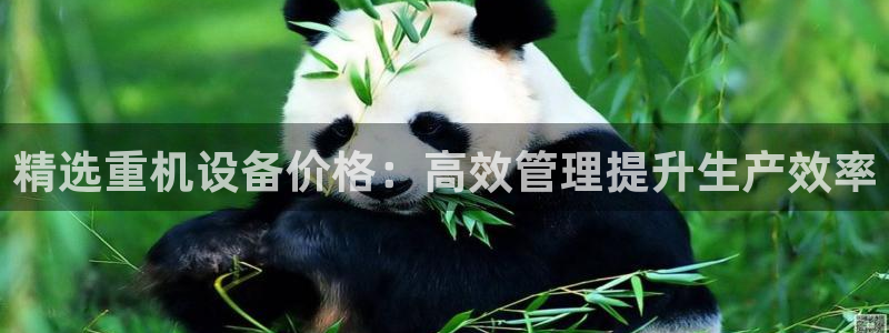 信誉辉达娱乐官方网址