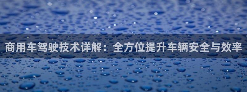 辉达娱乐丶39444：商用车驾驶技术详解：全方位提升车辆安全