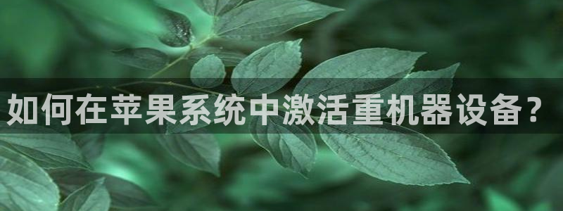 辉达娱乐己75505