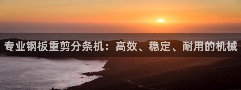 辉达娱乐体彩：专业钢板重剪分条机：高效、稳定、耐用的机械