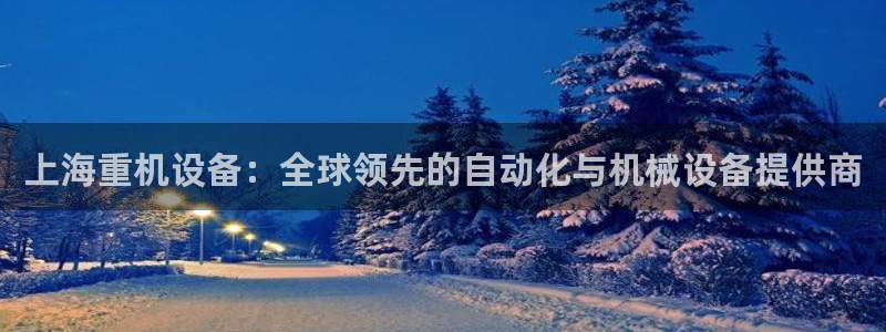 正规辉达娱乐开户注册：上海重机设备：全球领先的自动化与机械设