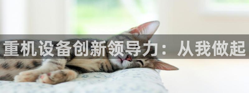 辉达娱乐己39444