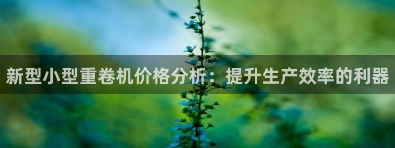 辉达平台注册流程：新型小型重卷机价格分析：提升生产效率的利器