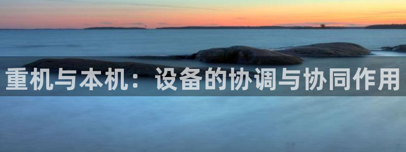 达娱乐辉70667：重机与本机：设备的协调与协同作用